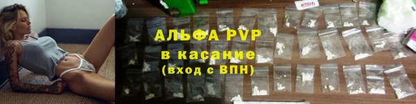 дживик Богданович