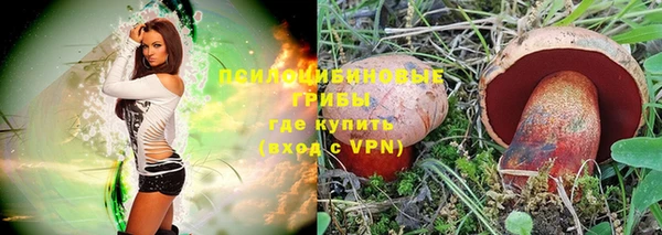 дживик Богданович