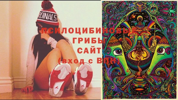 дживик Богданович