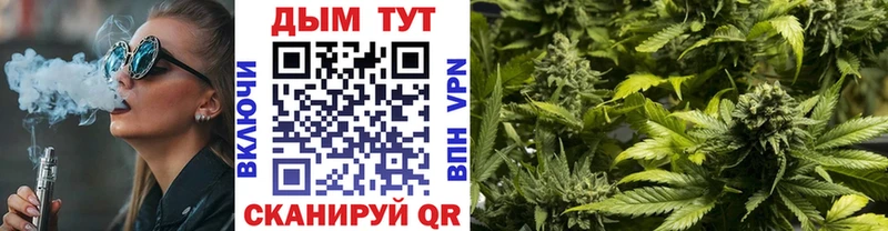 купить наркотик Минеральные Воды Шишки марихуана OG Kush